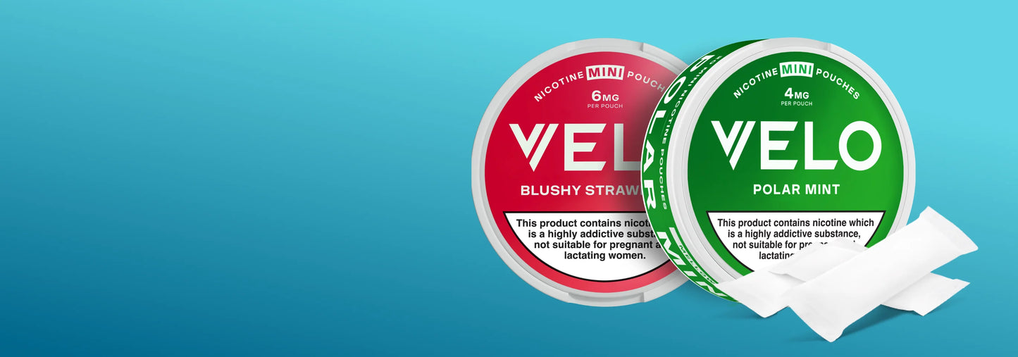 Velo Nicotine Pouches 11mg