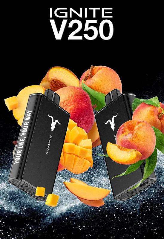 IGnite 25000 Puff 5%