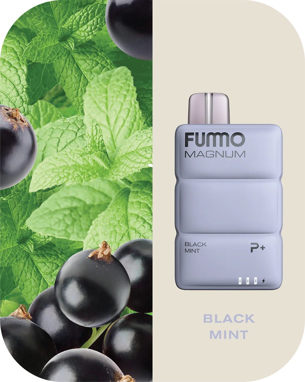 Fumo 8000 Puff 2%