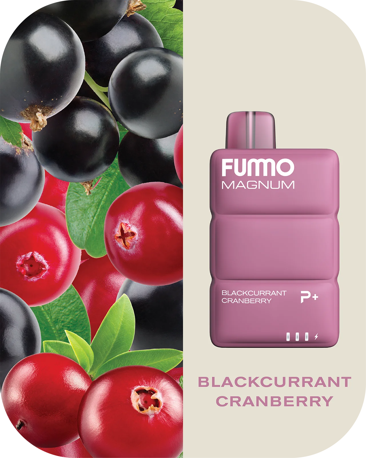Fumo 8000 Puff 2%